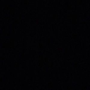 Meet your Posher, Arlene